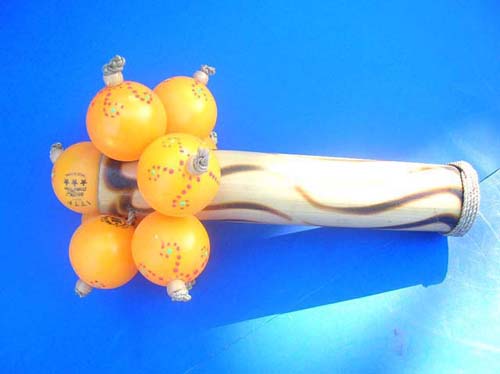  musical instruments shaker